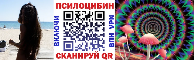 Галлюциногенные грибы мицелий  сколько стоит  Зима 